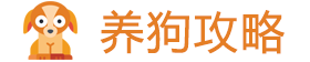 养狗攻略