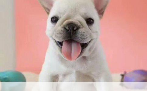 运动场上的热血收束——致这场特殊的竞技