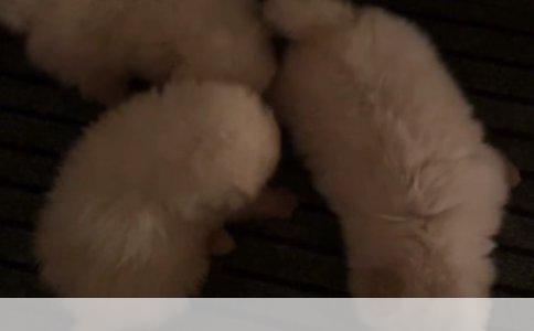 深圳市儿童玩具批发市场探秘