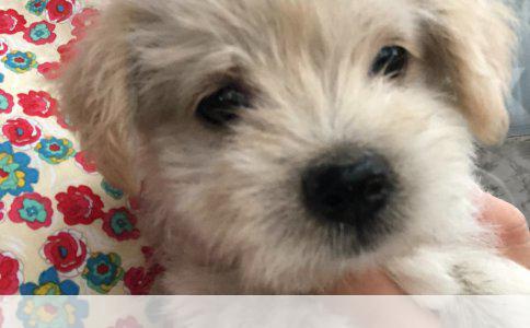 先吃饭还是先刷牙？——日常生活习惯的考量