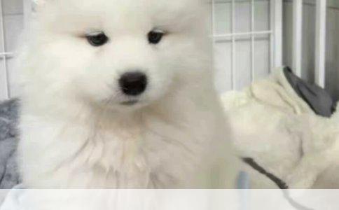 山东主要玩具批发市场介绍