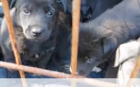 沈阳面部牛皮癣患者的专业护理指南