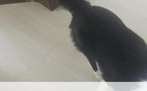 北海学校运动会盛况记实