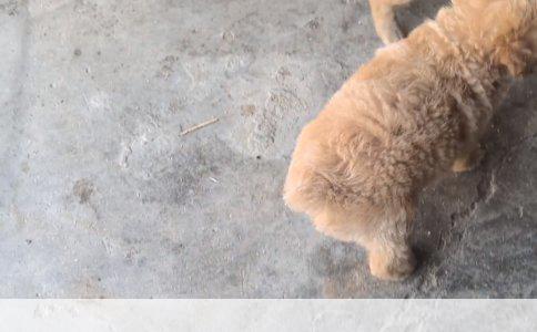 早晨不刷牙的潜在危害