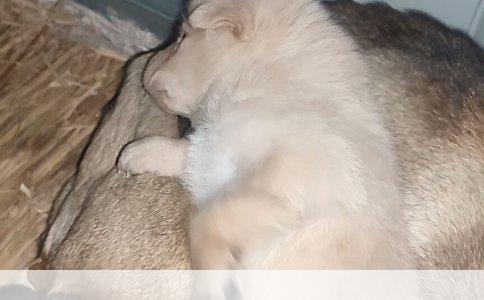 需接受肠外营养的人群及其必要性