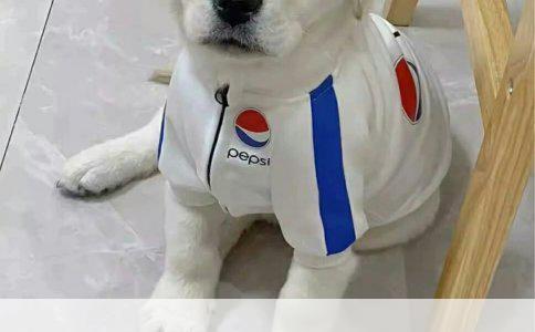 刚献过血有献血证能否直接办餐饮健康证