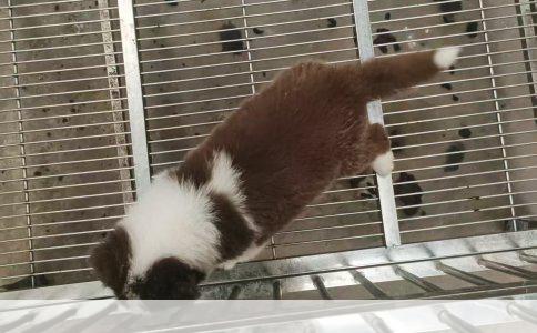 时间和空间的绝对性：作为物质运动的存在基础